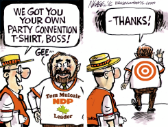 MULCAIR T by Steve Nease