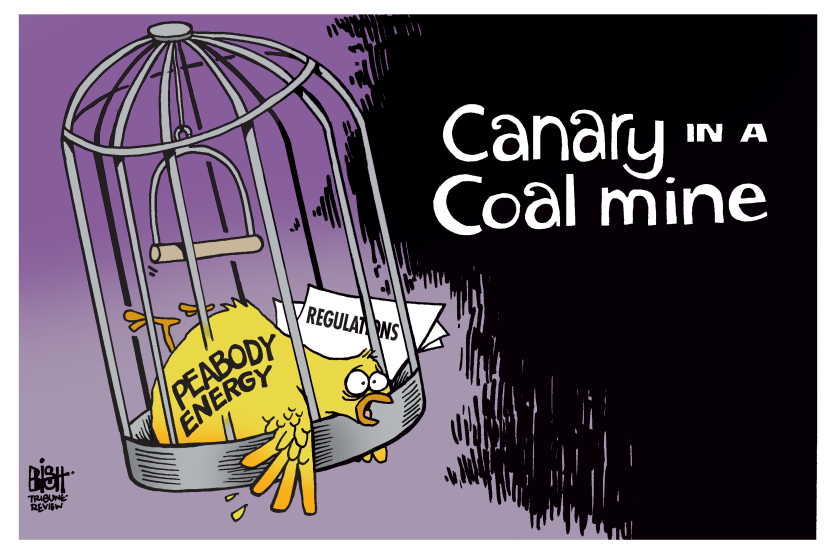 PEABODY ENERGY, COLOR