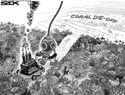 CORAL CATASROPHE by Steve Sack
