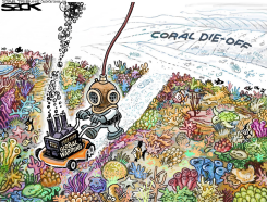 CORAL CATASROPHE  by Steve Sack
