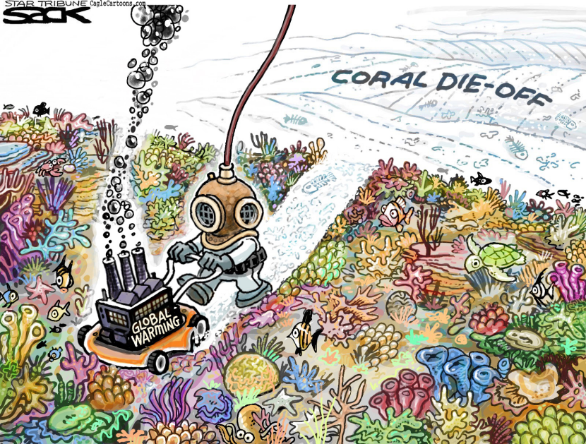Coral Catasrophe COLOR