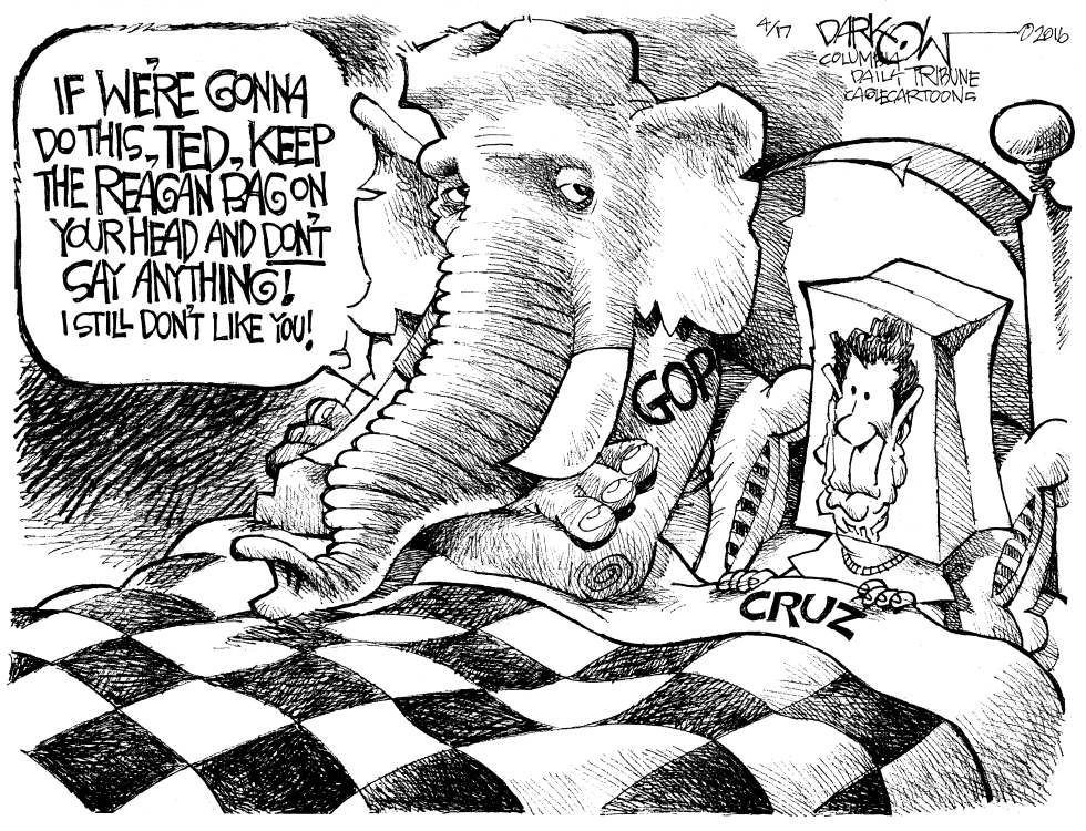 Pillow Ted Talk