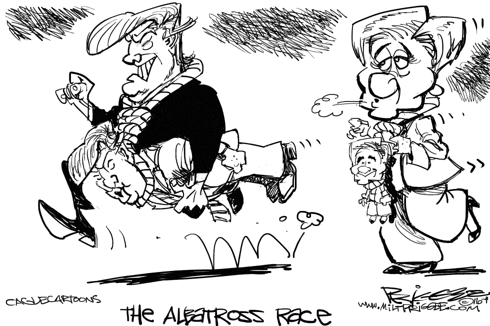 The Albatross Race