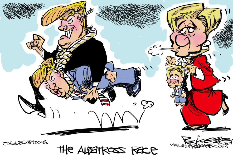 The Albatross Race COLOR