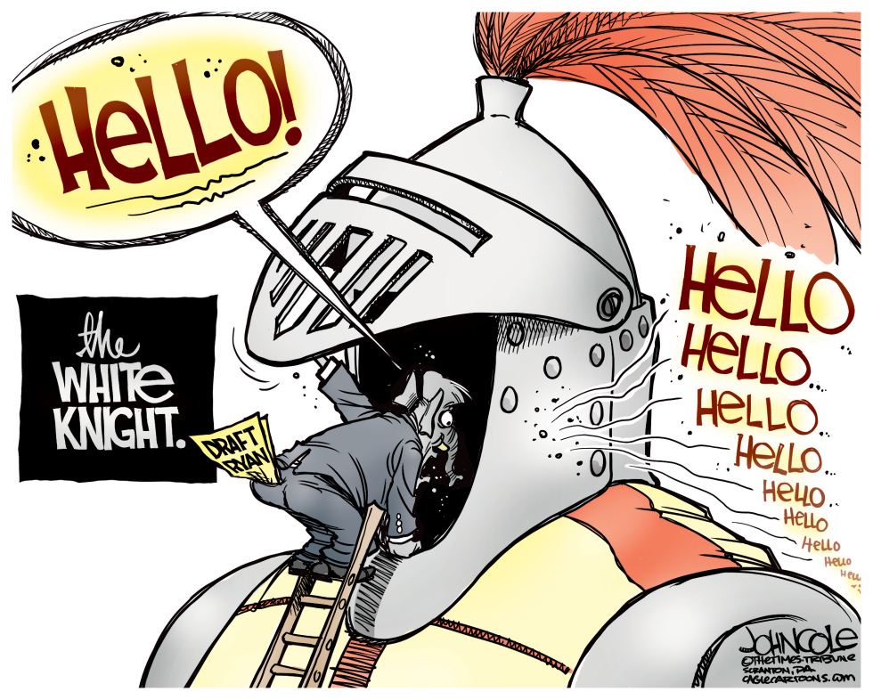 No white knight COLOR