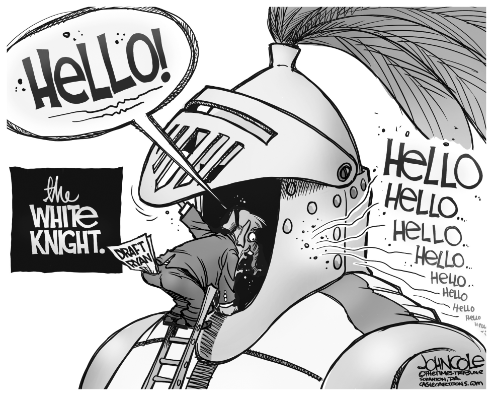 No white knight BW