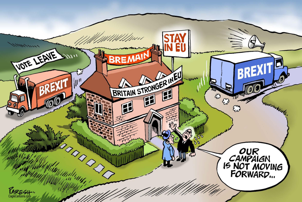  STAY IN EU CAMPAIGN by Paresh Nath