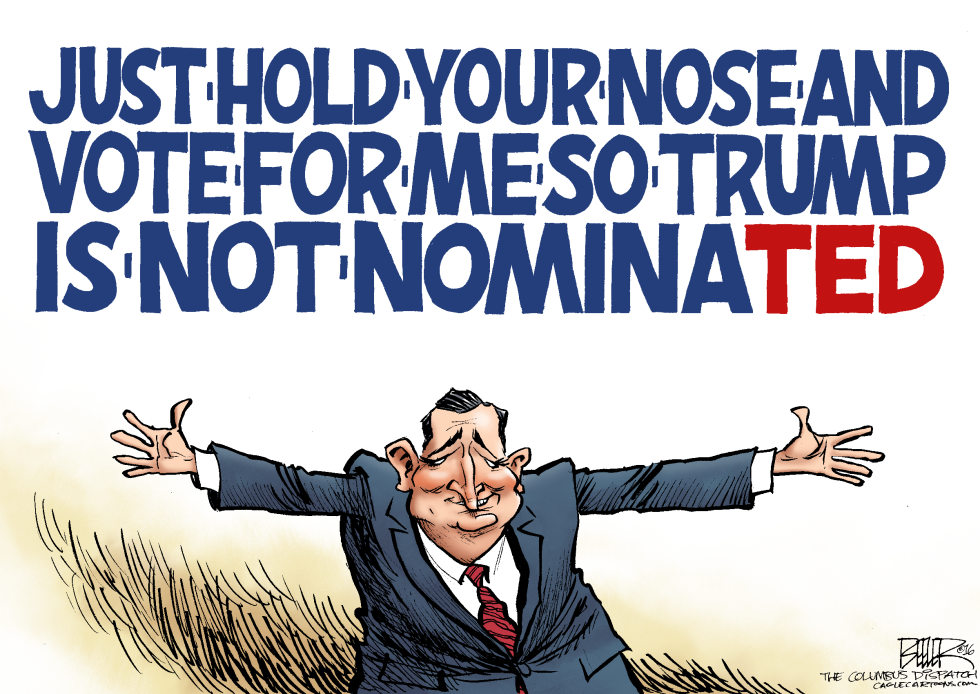Cruz Catchphrase COLOR