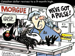 LOONIE REVIVAL by Steve Nease