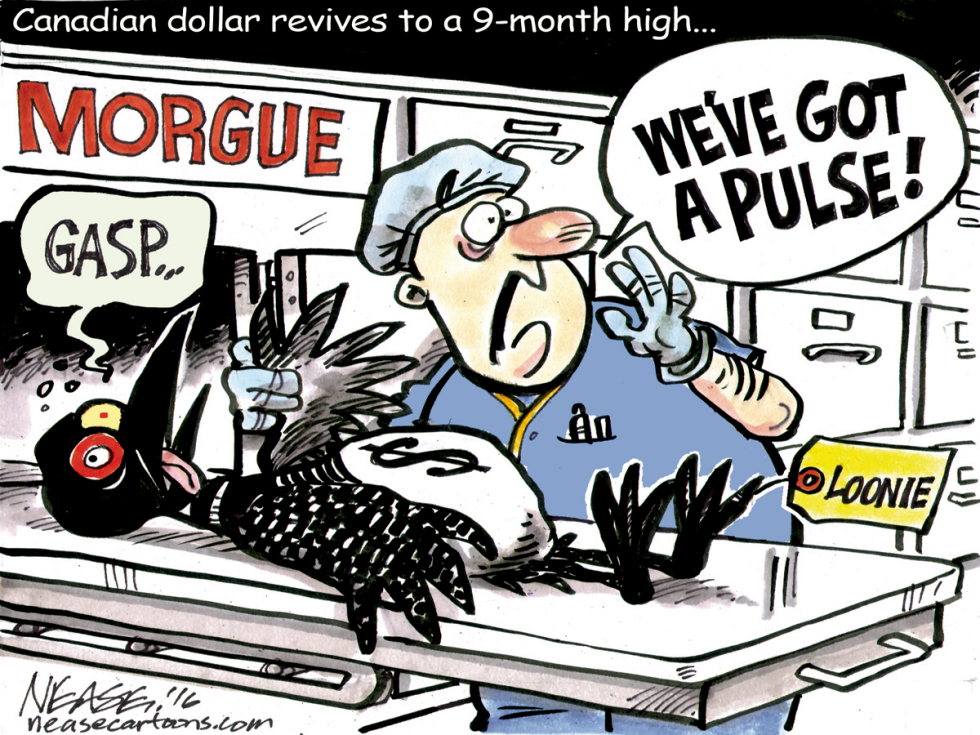 Loonie Revival