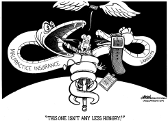 MALPRACTICE INSURANCE PREMIUMS SQUEEZE DOCTORS by R.J. Matson
