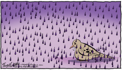 PRINCE  by Bob Englehart