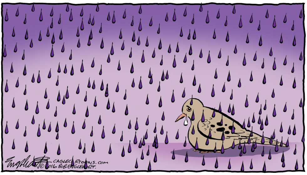 Prince COLOR