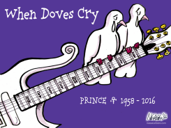 PRINCE by Steve Nease