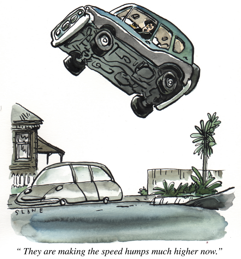 Speed Humps