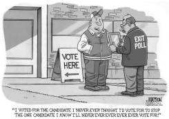 STRATEGIC VOTER by R.J. Matson