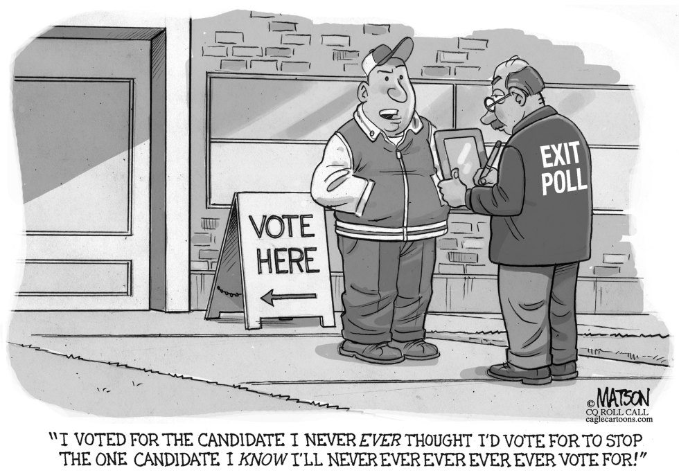  STRATEGIC VOTER by RJ Matson