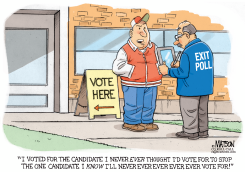 STRATEGIC VOTER by R.J. Matson