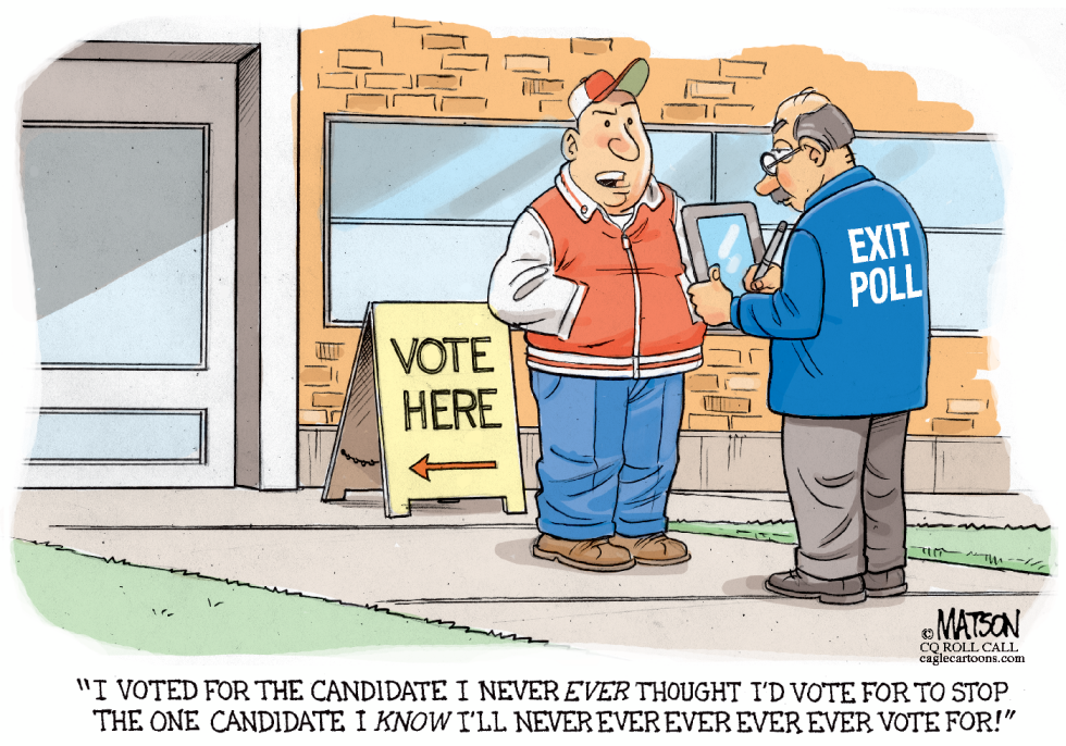 Strategic Voter-COLOR