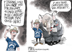 BURNED BERNERS  by Pat Bagley