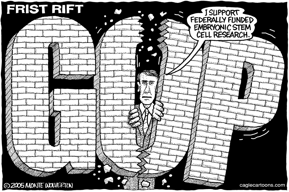 Frist Rift
