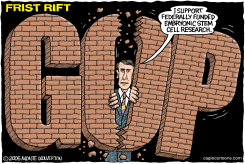 FRIST RIFT    by Monte Wolverton
