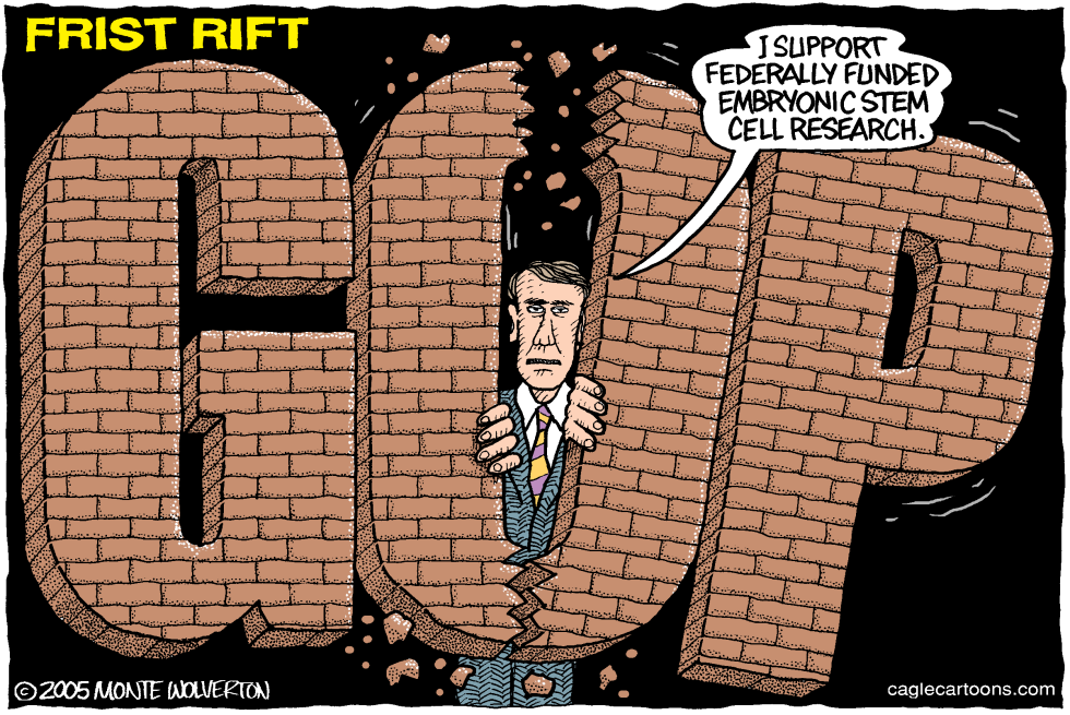 Frist Rift  -- COLOR