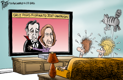 CRUZ PICKS CARLY by Bruce Plante