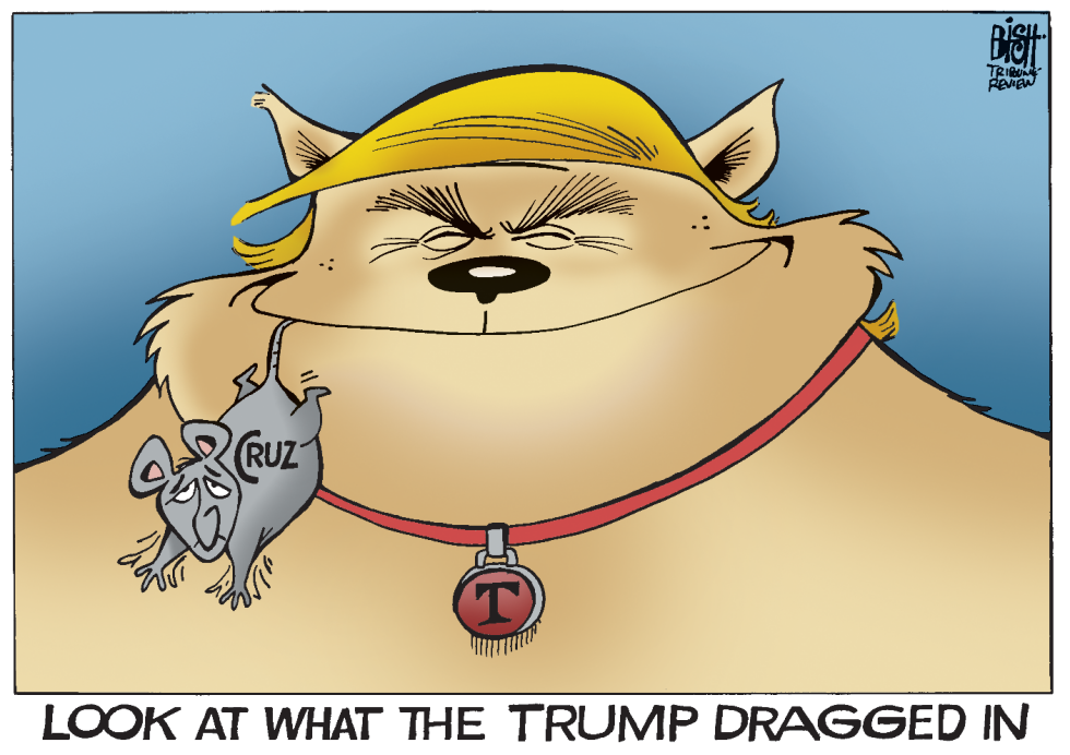 THE END OF CRUZ, COLOR