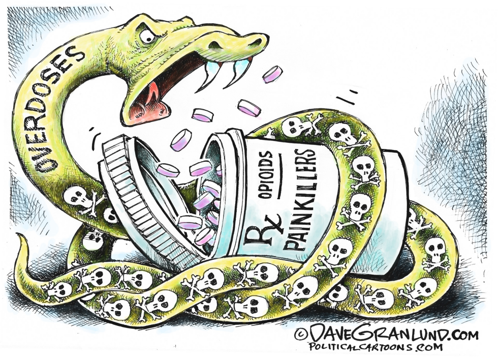  PAINKILLERS AND OVERDOSES by Dave Granlund