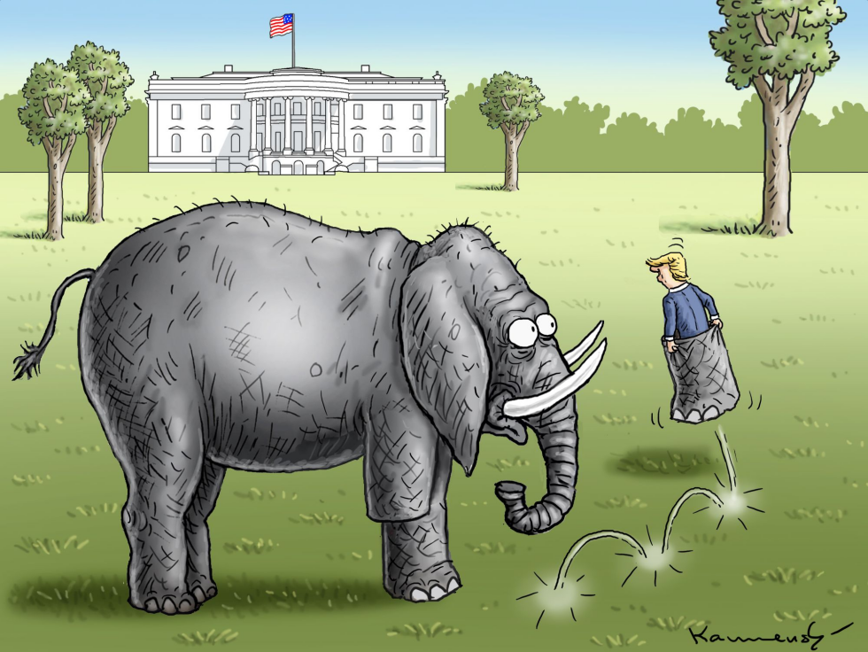 Trumpel Trump