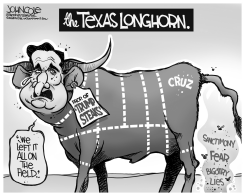 CRUZ THE LONGHORN BW by John Cole