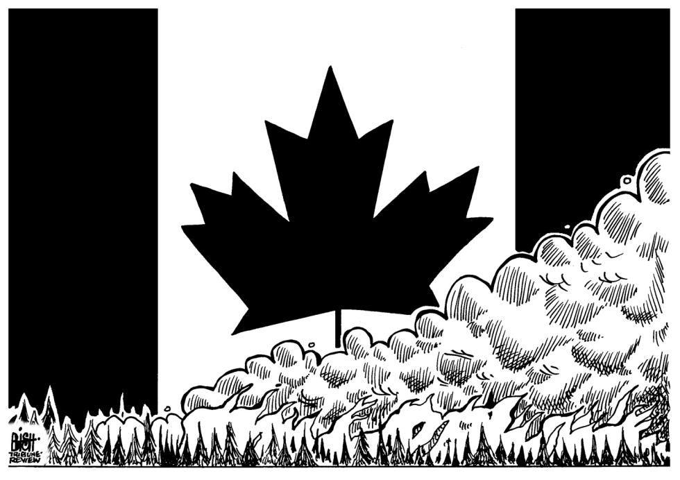 CANADA FIRES, B/W