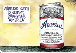 AMERICA BEER by Joe Heller