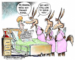 ELDER CARE SHORTAGES  by Dave Granlund