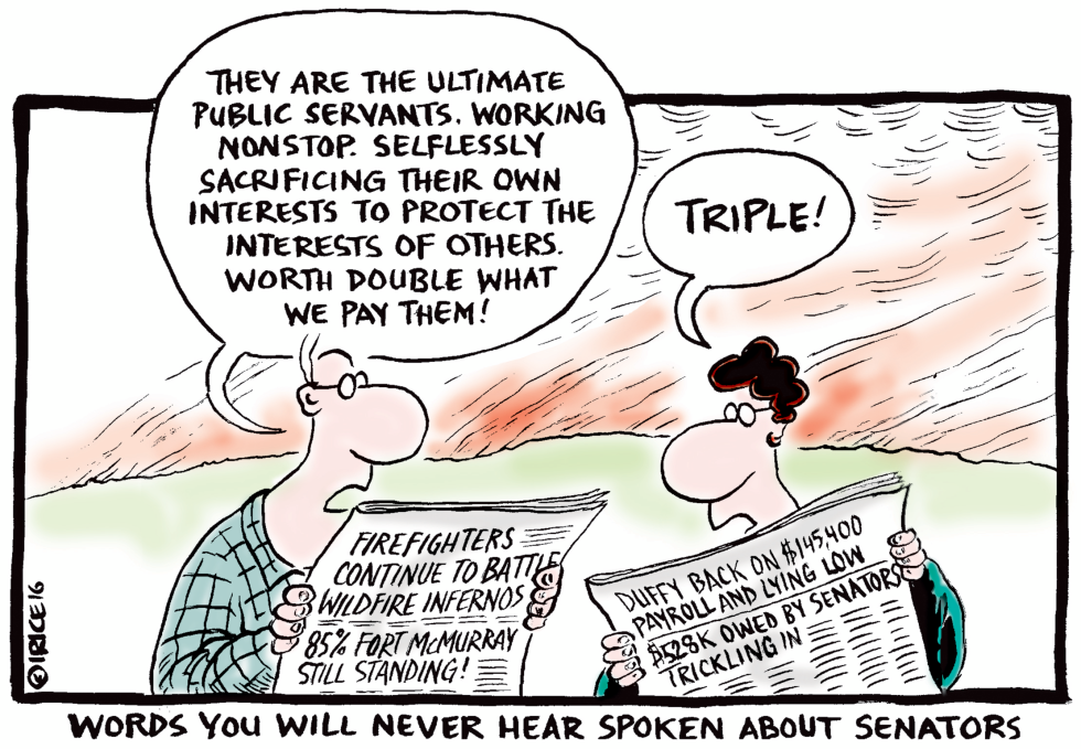 The Ultimate Public Servants