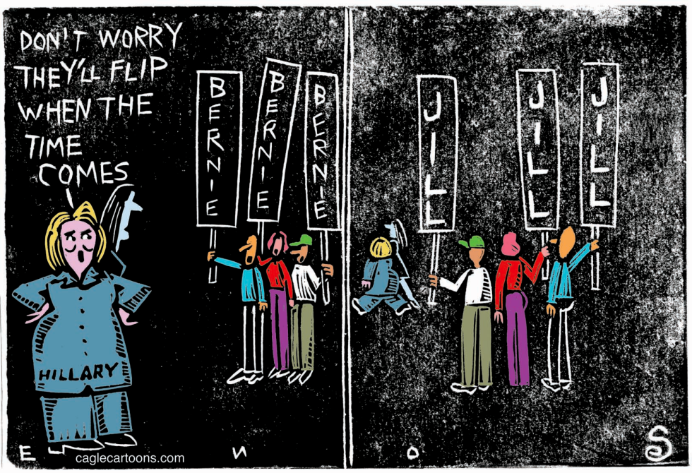 Bernie Voters COLOR