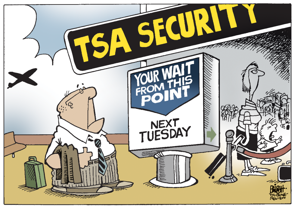 TSA LINES, COLOR