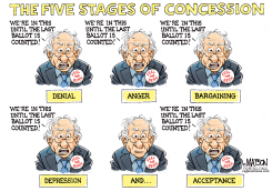 BERNIE SANDERS AND THE FIVE STAGES OF CONCESSION by R.J. Matson