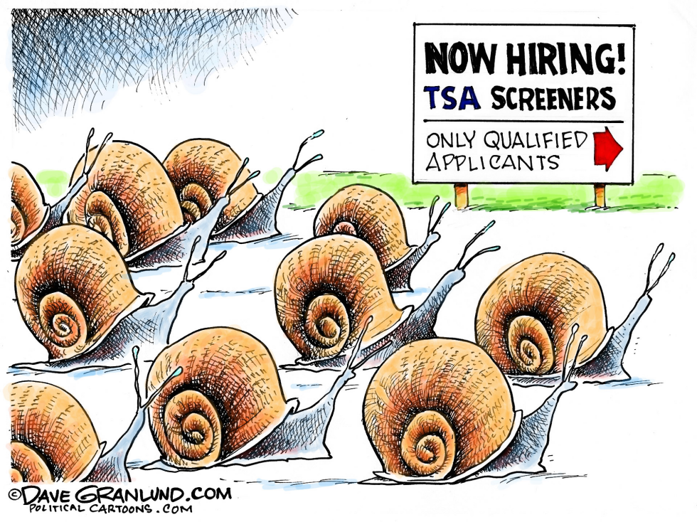  TSA SCREENERS by Dave Granlund