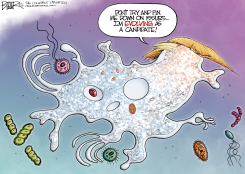 EVOLUTION OF TRUMP  by Nate Beeler