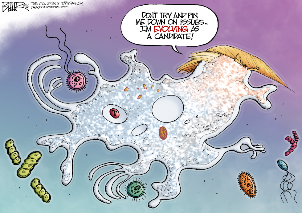 Evolution of Trump COLOR