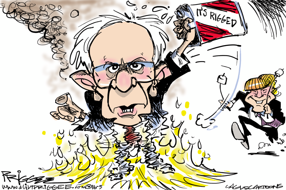 Suicide Sanders COLOR