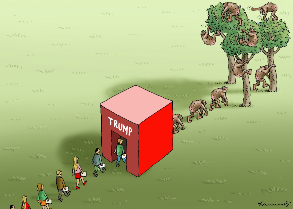 THE TRUMP´S EVOLUTION