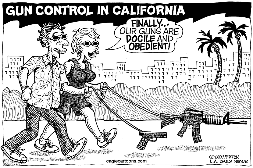 LOCAL-CA Gun Control Bills