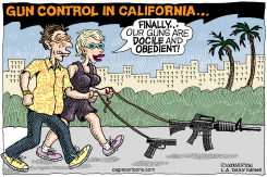 LOCAL-CA GUN CONTROL BILLS  by Monte Wolverton
