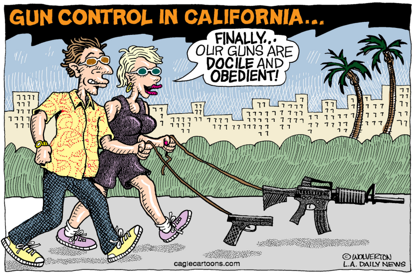 LOCAL-CA Gun Control Bills COLOR