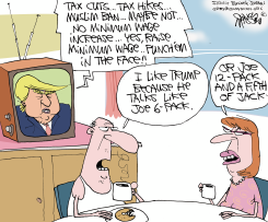 TRUMP'S RHETORIC  by Gary McCoy