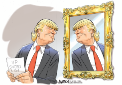 TRUMP VICE PRESIDENT SEARCH by R.J. Matson