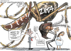 ZIKA MOSQUITO  by Pat Bagley